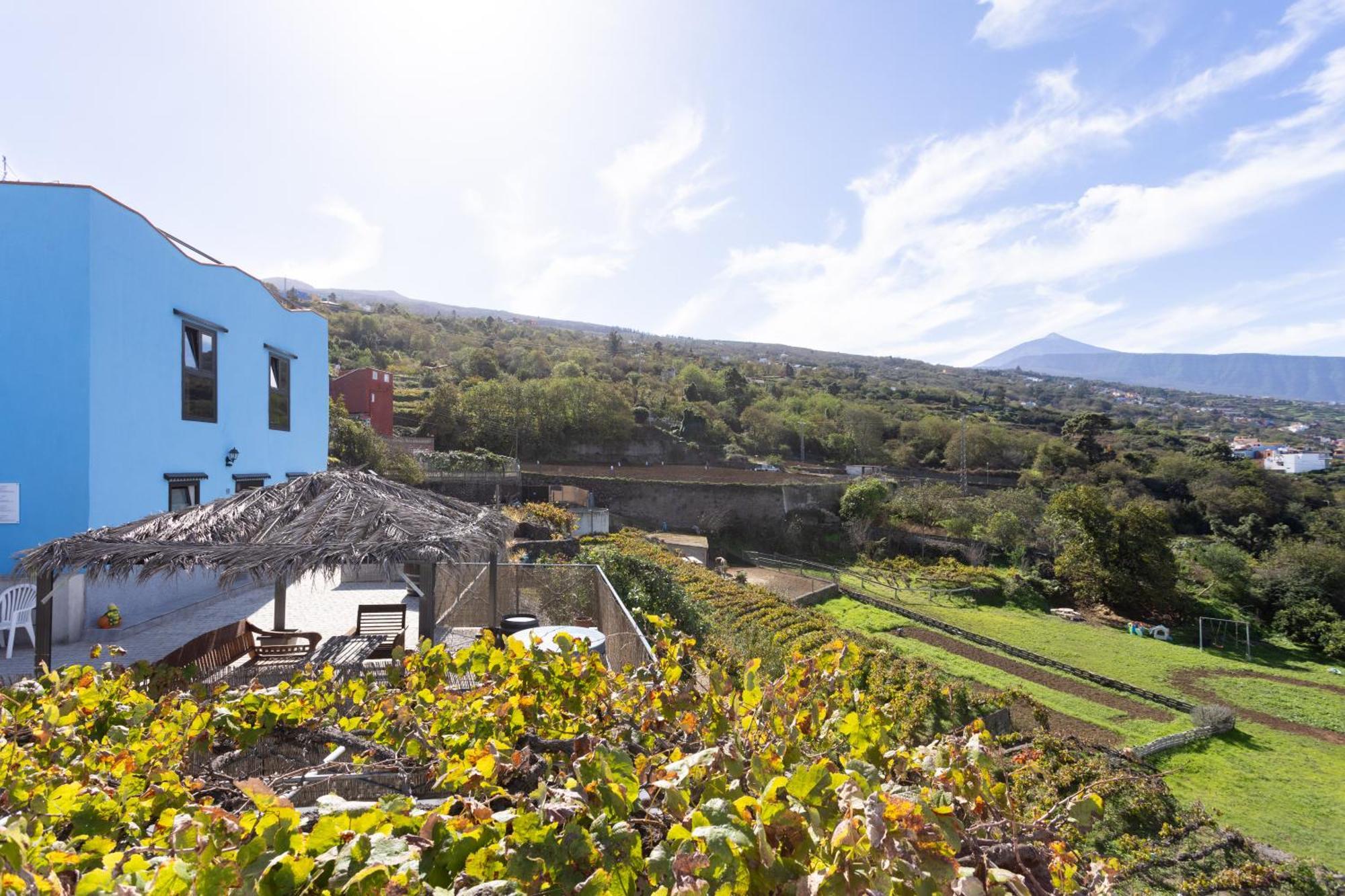 Ek Drago Finca El Milagro La Orotava Exterior foto