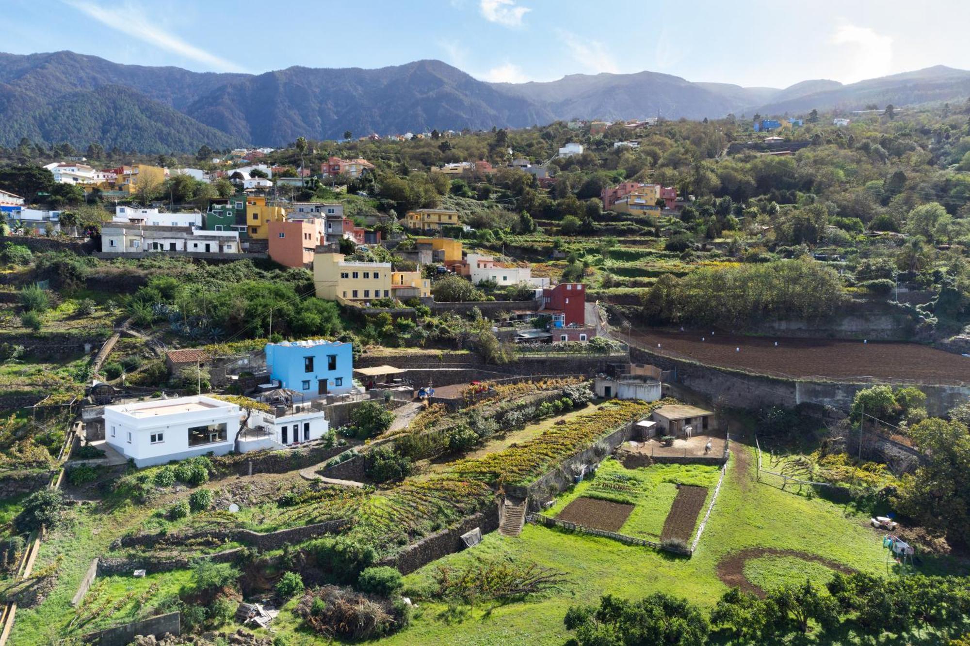 Ek Drago Finca El Milagro La Orotava Exterior foto
