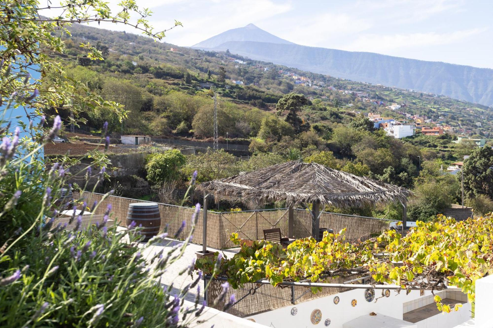 Ek Drago Finca El Milagro La Orotava Exterior foto