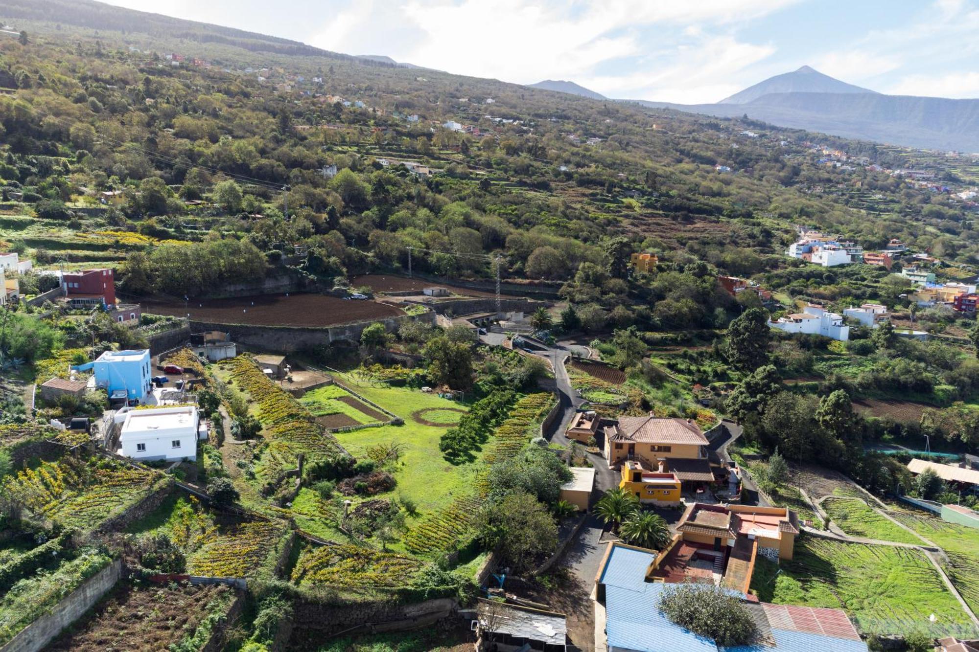 Ek Drago Finca El Milagro La Orotava Exterior foto