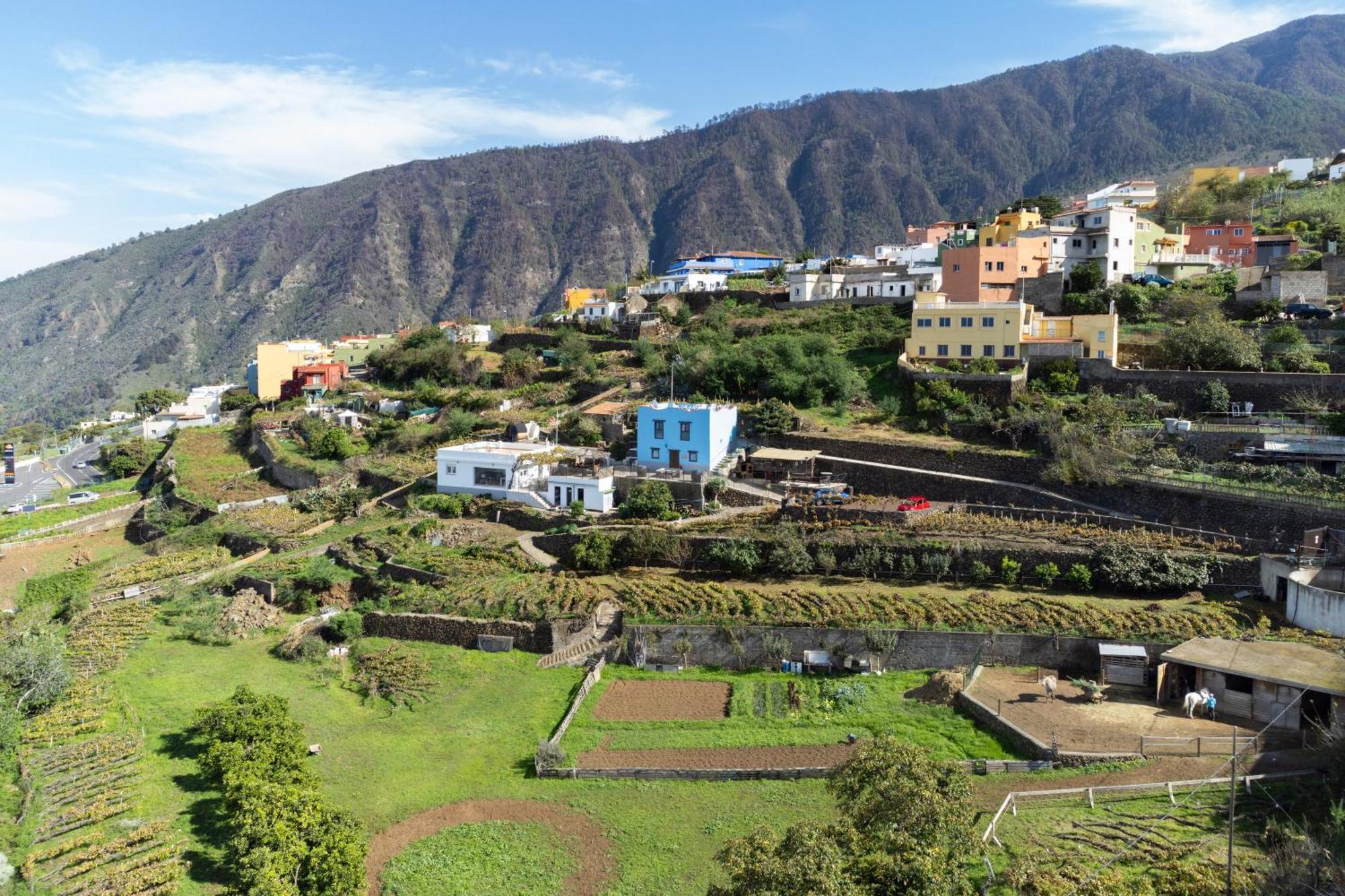 Ek Drago Finca El Milagro La Orotava Exterior foto